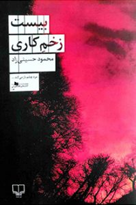 کتاب بیست زخم کاری - نویسنده محمود حسینی زاد