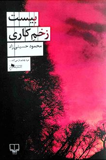 کتاب بیست زخم کاری - نویسنده محمود حسینی زاد