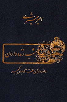 کتاب شب زنده داران - نویسنده امیر عشیری