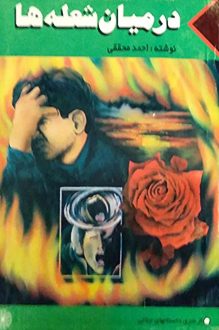 کتاب در میان شعله ها - نویسنده احمد محققی