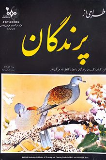 کتاب طراحی از پرندگان - نویسنده جوی باستل